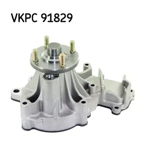 VKPC91829 SKF