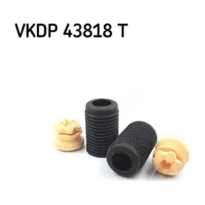 VKDP 43818 T SKF