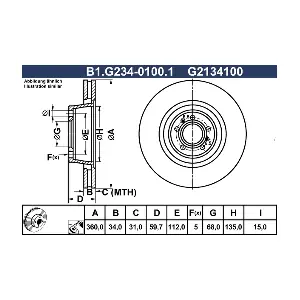 B1.G234-0100.1 GALFER