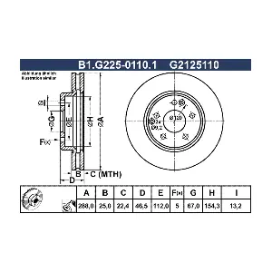 GALFER B1.G225-0110.1
