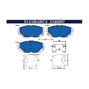 B1.G120-2587.2 GALFER