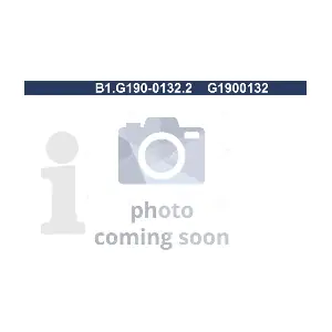 B1.G190-0132.2 GALFER