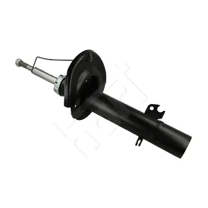 810070 HART