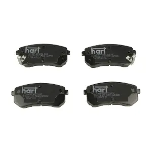 224 173 HART