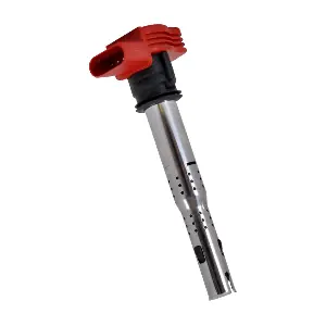 SWAN IC247