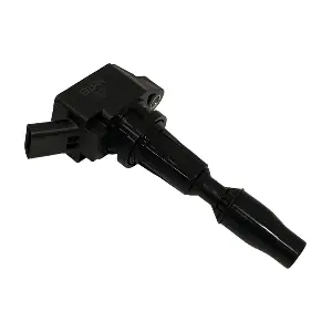 IC517 SWAN