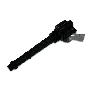 IC495 SWAN