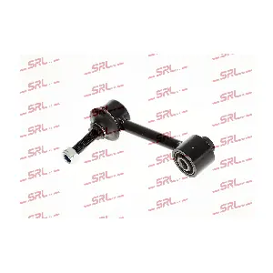 S6013069 SRLine