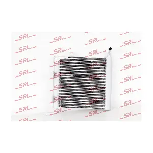 LR093756 JAGUAR