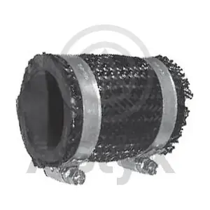 AS-204230 Aslyx