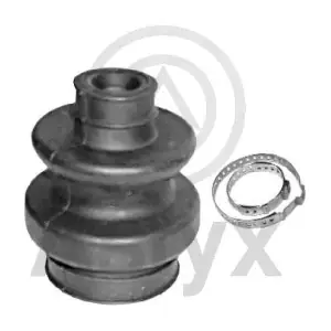 101066 Aslyx