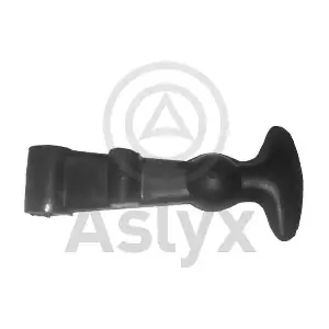 100471 Aslyx