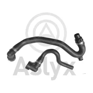 509767 Aslyx