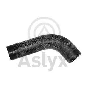 594029 Aslyx