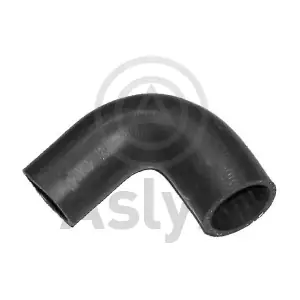 AS203961 Aslyx
