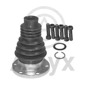 101061 Aslyx