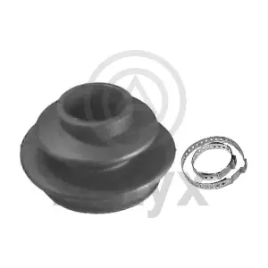 101571 Aslyx