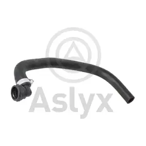 204174 Aslyx
