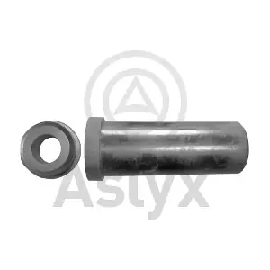 100720 Aslyx