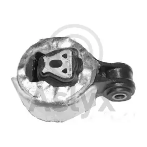 AS-507022 Aslyx