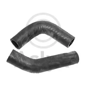 AS-204051 Aslyx