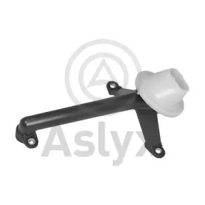 601111 Aslyx