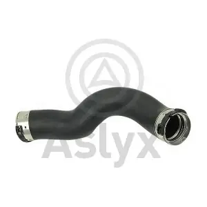 601491 Aslyx