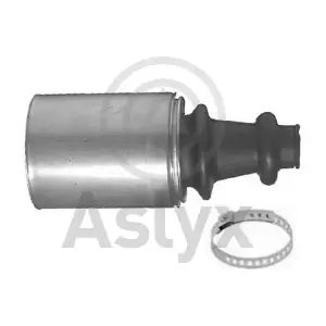 AS-200557 Aslyx