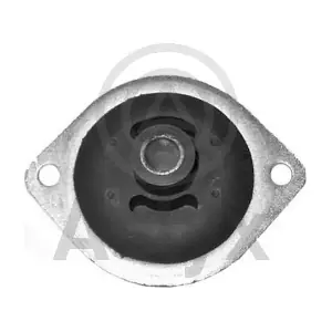 100251 Aslyx