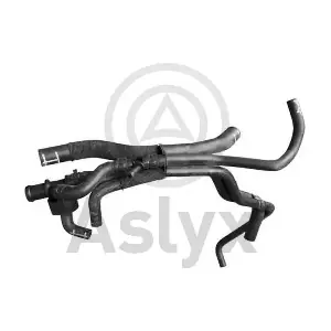 601588 Aslyx