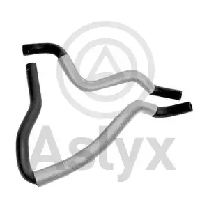 204156 Aslyx