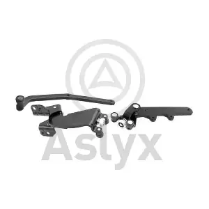 AS-521168 Aslyx