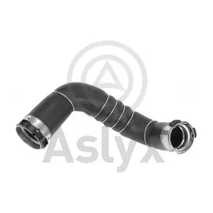 509732 Aslyx