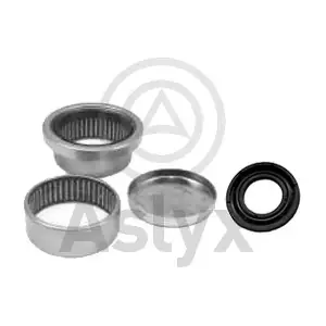 Aslyx AS-202093