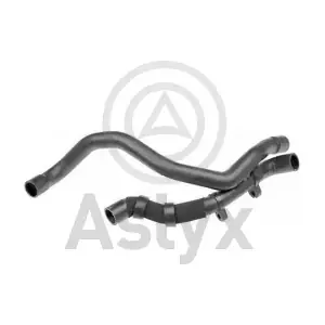 509959 Aslyx
