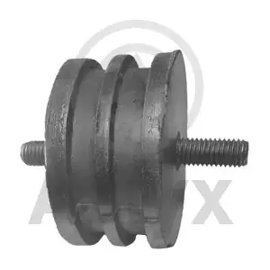 100404 Aslyx