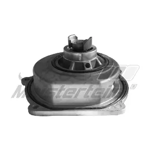 A.Z. Meisterteile AZMT-30-100-1303