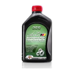 DSG 1L A.Z. Meisterteile