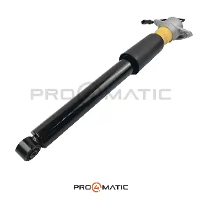 SL454197-SK PRO4MATIC