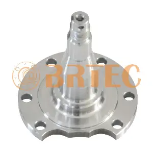 970110 BRTEC