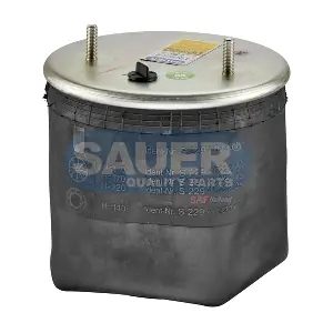 S2294022100 SAUER QUALITY PARTS
