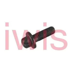 60197 iwis Motorsysteme