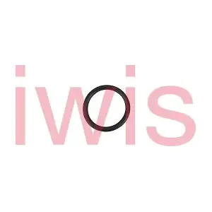 60250 iwis Motorsysteme