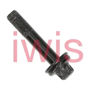 60196 iwis Motorsysteme