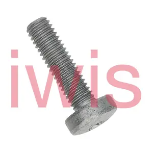 60393 iwis Motorsysteme