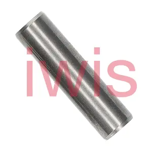 59792 iwis Motorsysteme