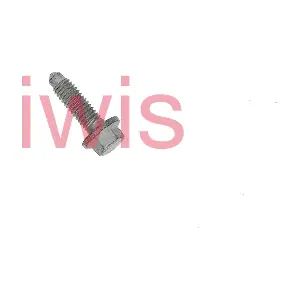 60203 iwis Motorsysteme