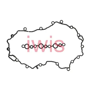 60555 iwis Motorsysteme