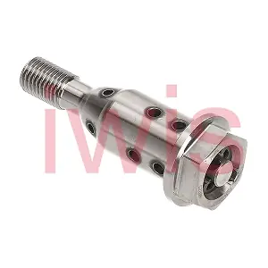 59663 iwis Motorsysteme
