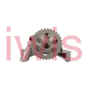 iwis Motorsysteme 60221